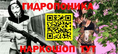 дживик Кингисепп