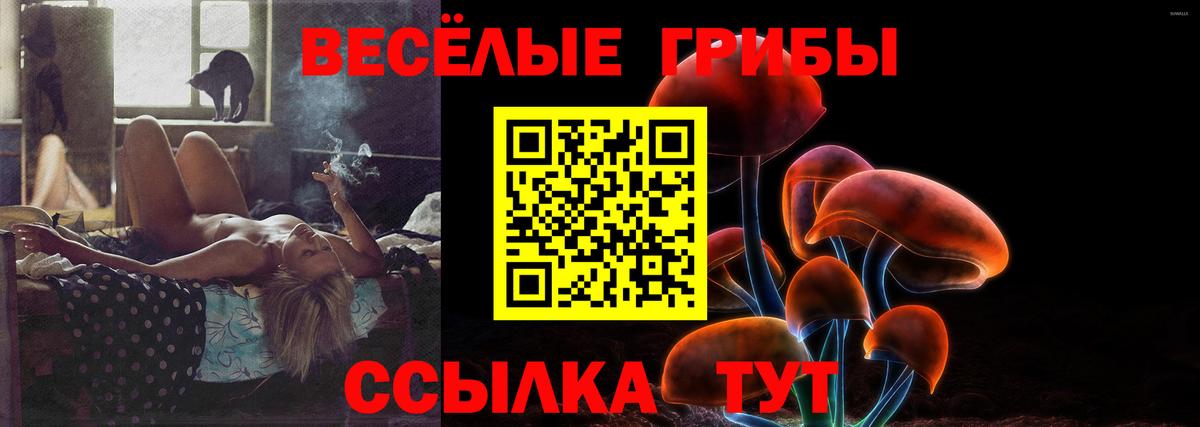 Карталы  Псилоцибиновые грибы MAGIC MUSHROOMS  Вход с VPN  Галлюциногенные грибы MAGIC MUSHROOMS 