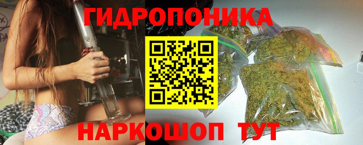 Марихуана OG Kush Карталы